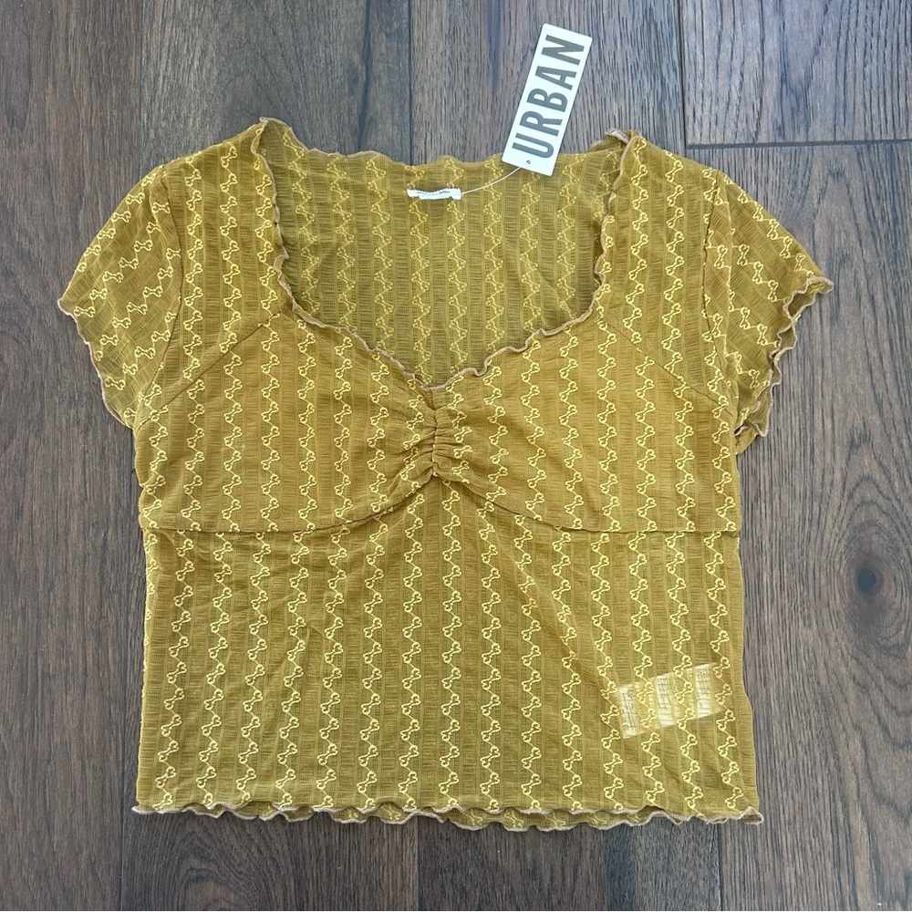 Urban Outfitters Sheer Short Sleeve Crop Top New With Tags